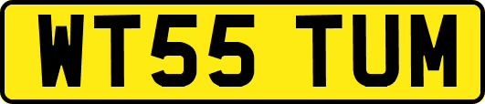 WT55TUM