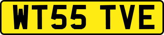 WT55TVE