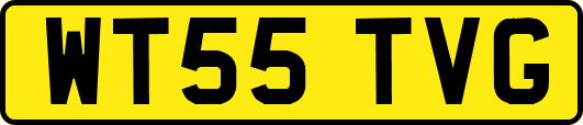 WT55TVG