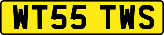 WT55TWS