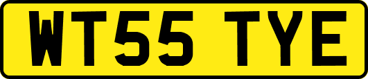 WT55TYE