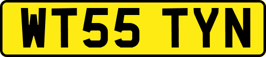 WT55TYN