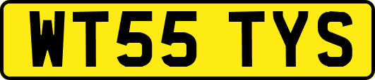 WT55TYS