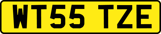 WT55TZE
