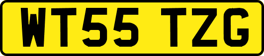 WT55TZG