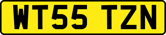 WT55TZN