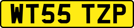 WT55TZP
