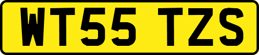 WT55TZS