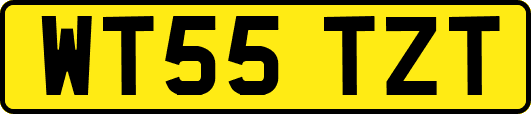 WT55TZT