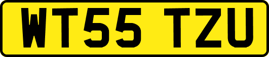 WT55TZU
