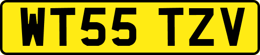 WT55TZV