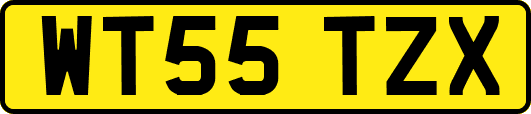 WT55TZX