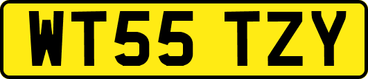 WT55TZY