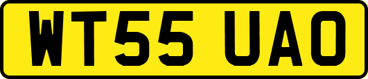 WT55UAO