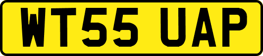 WT55UAP