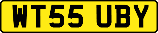 WT55UBY