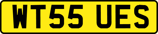 WT55UES