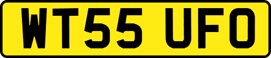 WT55UFO