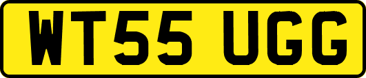 WT55UGG