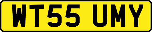WT55UMY