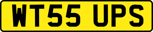 WT55UPS