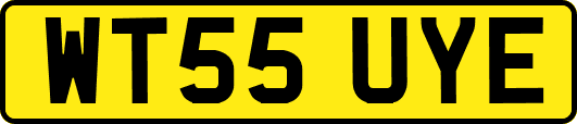 WT55UYE