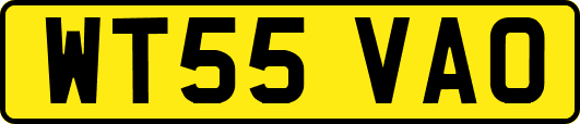 WT55VAO