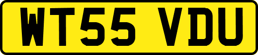 WT55VDU