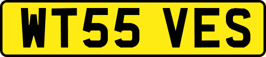WT55VES