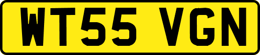 WT55VGN
