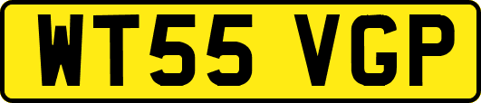 WT55VGP