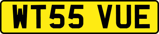 WT55VUE