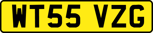 WT55VZG