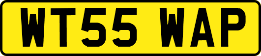 WT55WAP