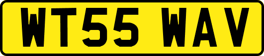 WT55WAV