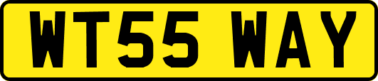 WT55WAY