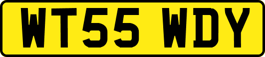 WT55WDY