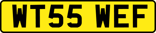 WT55WEF