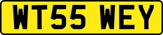 WT55WEY