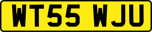 WT55WJU