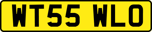 WT55WLO