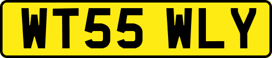 WT55WLY