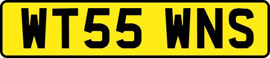 WT55WNS
