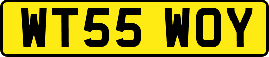 WT55WOY
