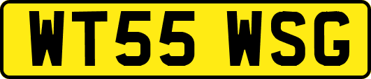 WT55WSG