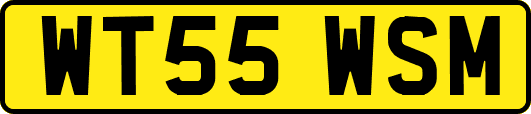 WT55WSM