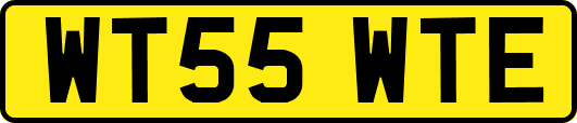 WT55WTE