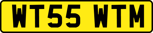 WT55WTM