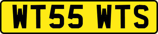 WT55WTS