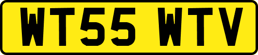 WT55WTV